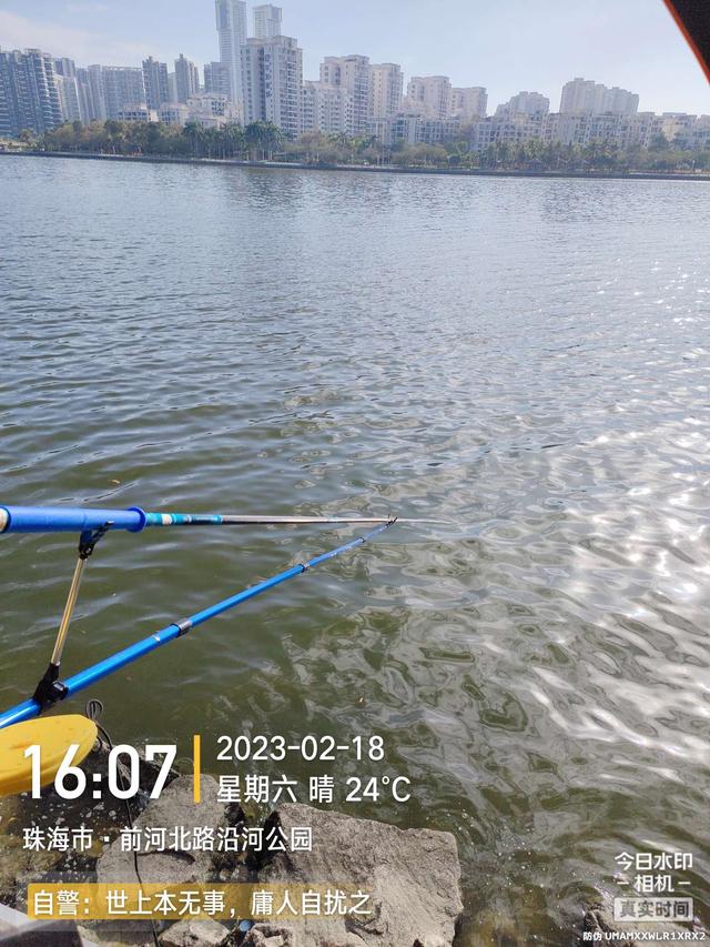 鳊鱼|今天是个好日子,用小钩鱼儿多多上,换大钩连竿大麦鲮