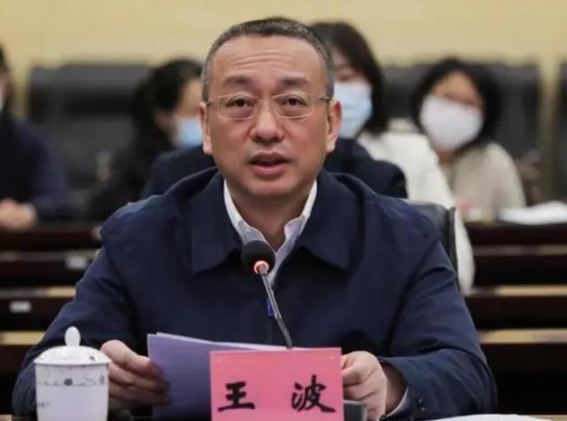 1992年,从成都大学毕业的王波,因为成绩优异被留校做起了党委学生工作