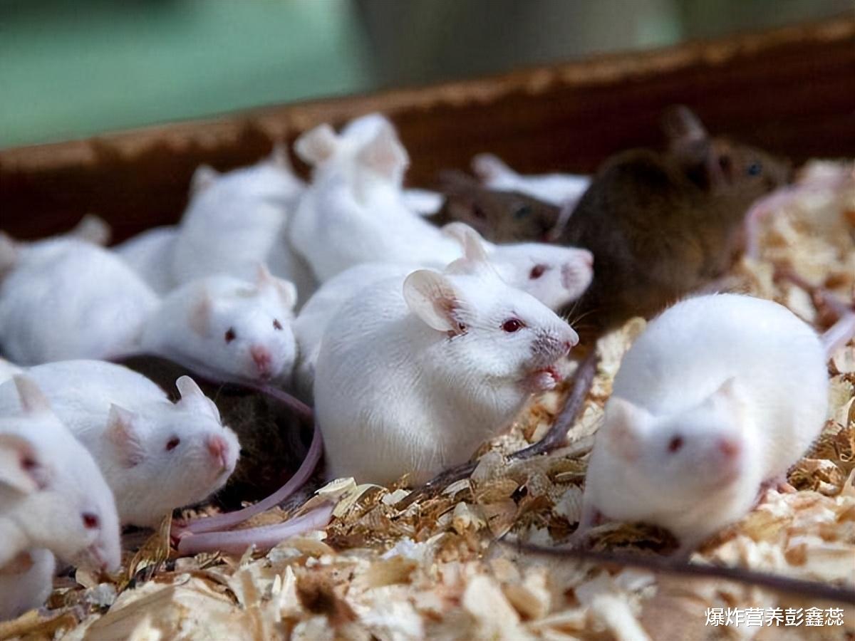 新研究发现：或许冬天更有利于减肥？这几个关键做法最重要