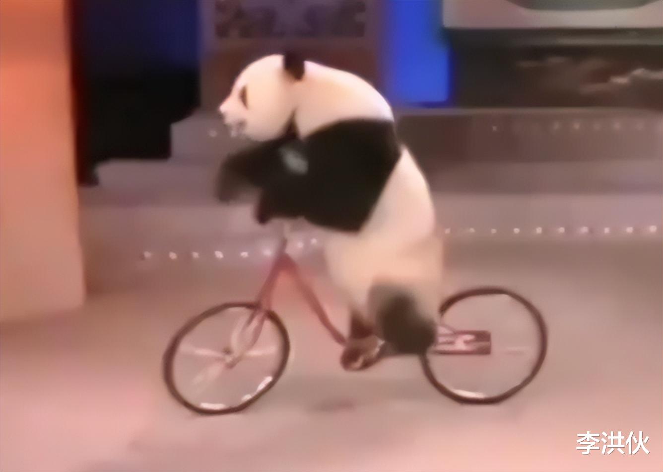 春晚|看腻了充满“包饺子”套路的春晚？来看看1983年第一届春晚多大胆