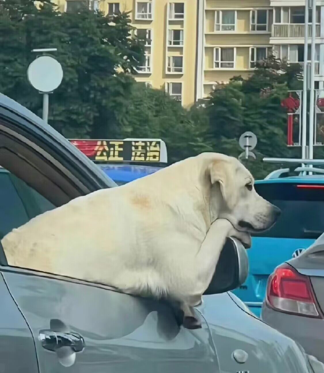 美甲 身边堪称女神的女生，生活习惯是怎样的？