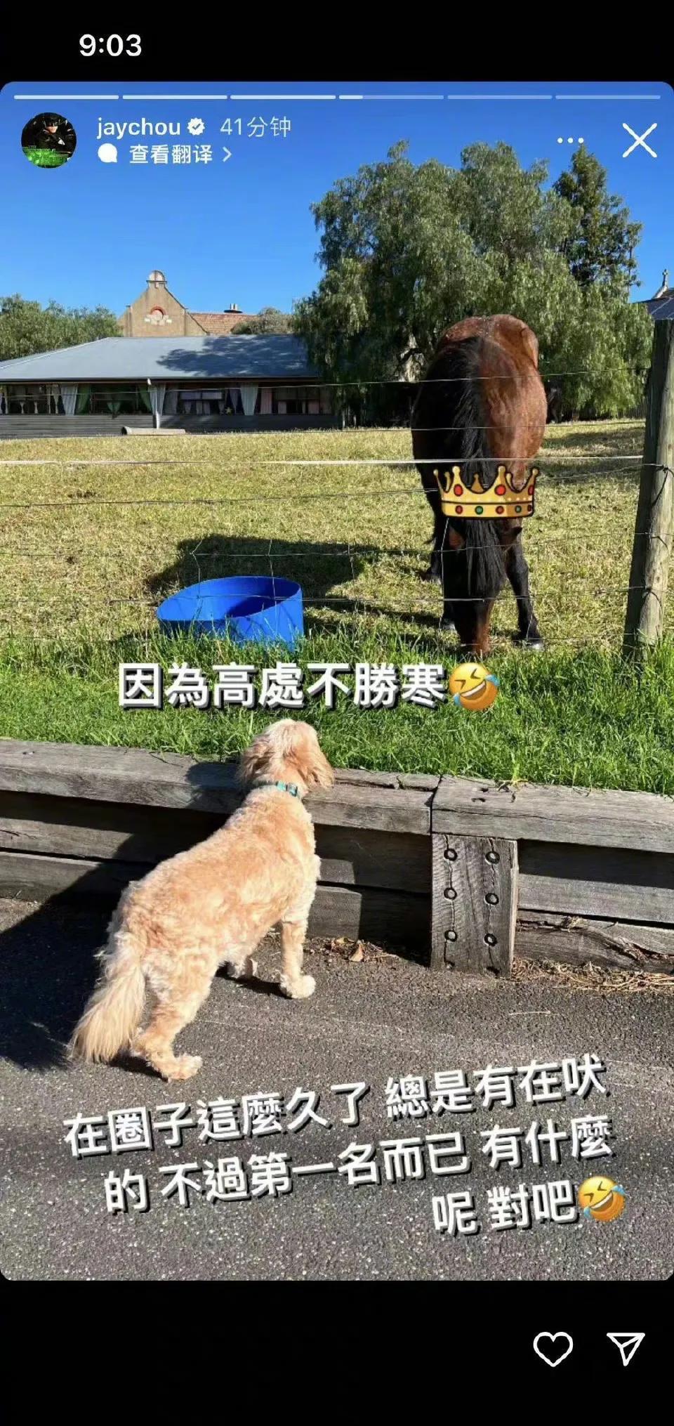 史航|2天6个瓜:离婚、被骗1亿、女歌手演出脱上衣