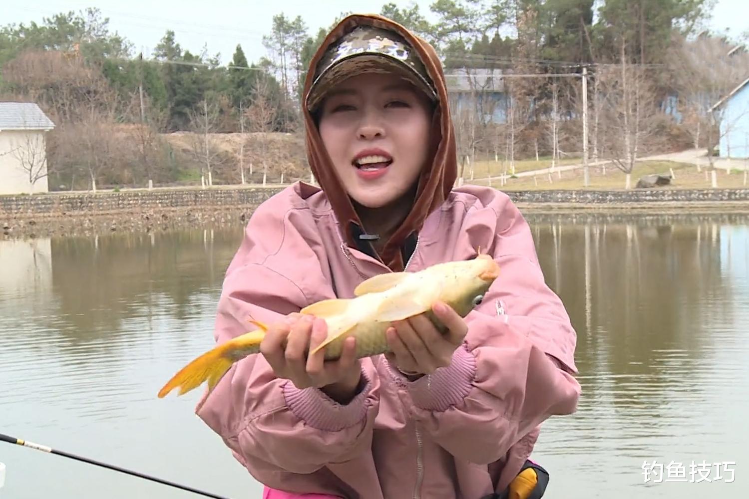 鲤鱼|如何钓鲤鱼黑坑的疗养鱼?疗养鱼的4个典型特征