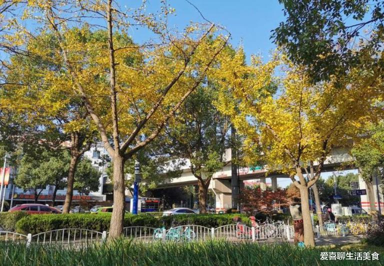 豆腐|深秋,5种食材不要错过,顺应时节,应季而食,早吃早受益,别不懂!