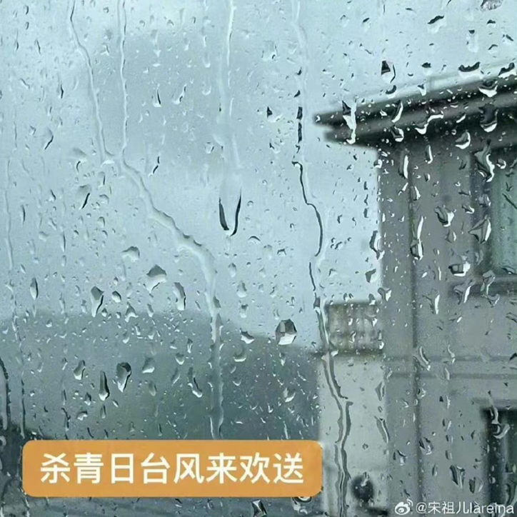 官方出手调查宋祖儿,黑历史一箩筐的她,不是表面上那么傻白甜