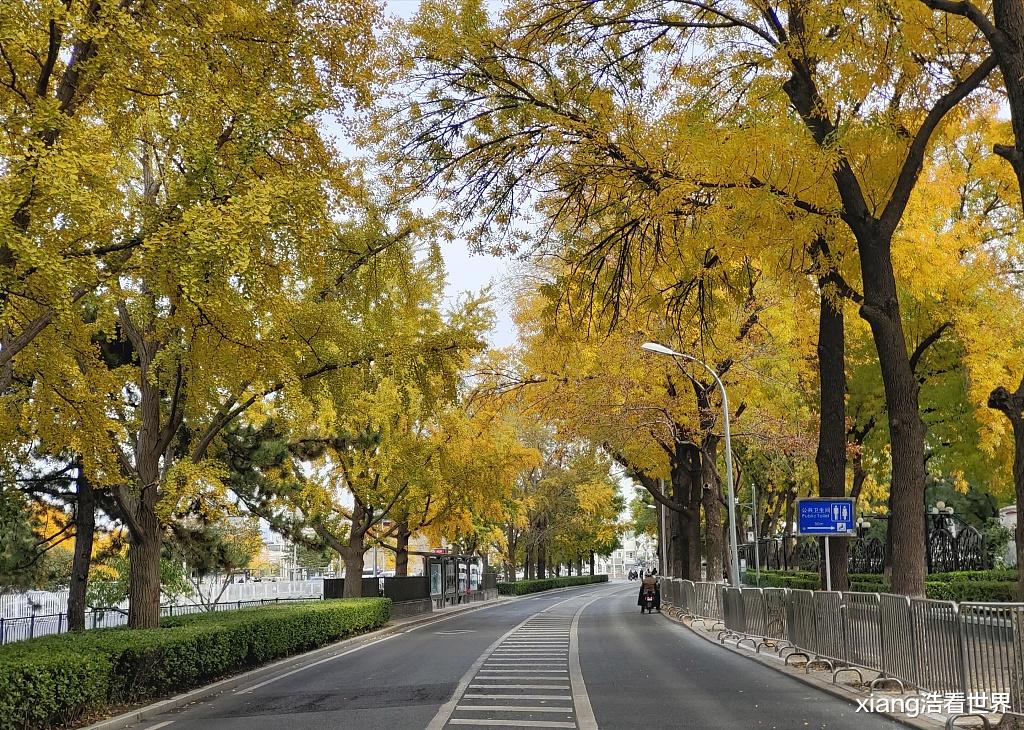 恩施|中国“秋天最美”的六个城市，透露着大自然的美妙，你去过哪一个？