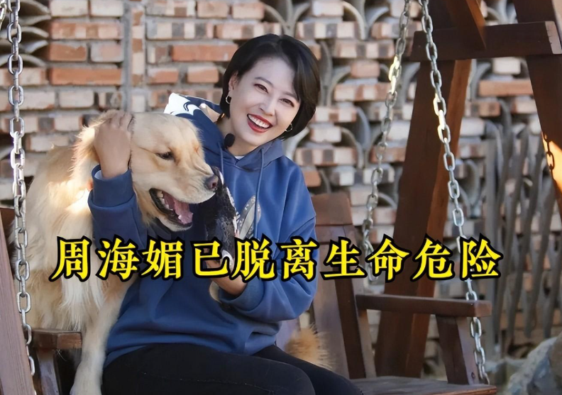 周海媚事件后续:粉丝笃定她已离世,表示没造谣不怕被告同行发声