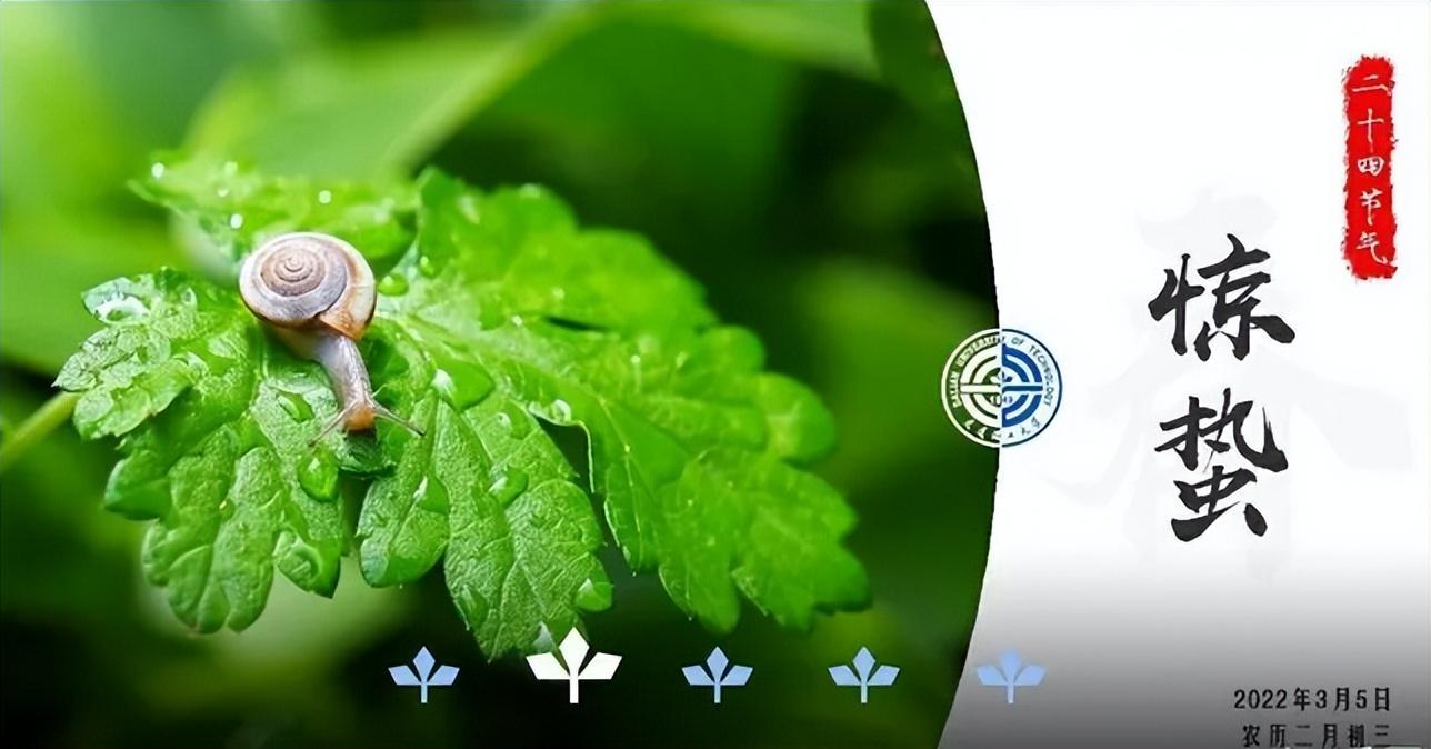 黄瓜|鸭脖就是鼠头，鼠头就是鸭脖，蒸馍，你不扶器？