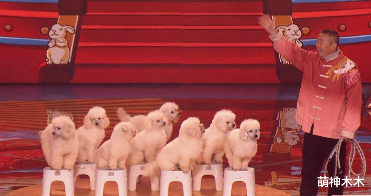 小品|湖南元宵晚会太无聊,开场就假唱,小品尴尬被嘲,全靠何炅撑场