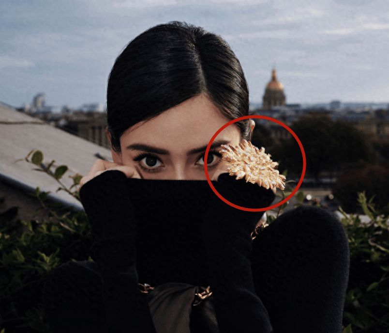 Lisa、张嘉倪、杨颖：为何纷纷与疯马秀扯上关系？