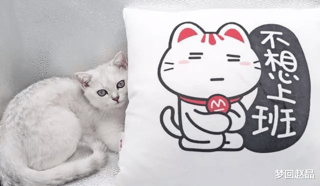 求职|40岁失业后我不想再找工作了