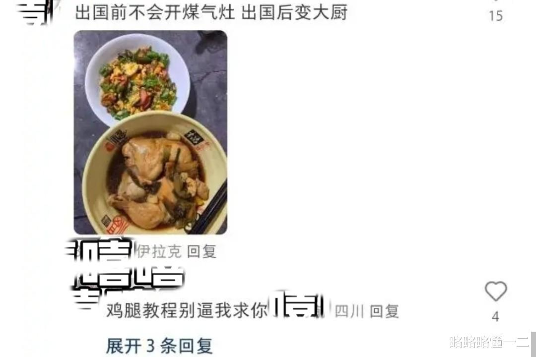 留学生|留学还是流放?留学生晒异国他乡吃的饭让人心疼,果然是中国胃!