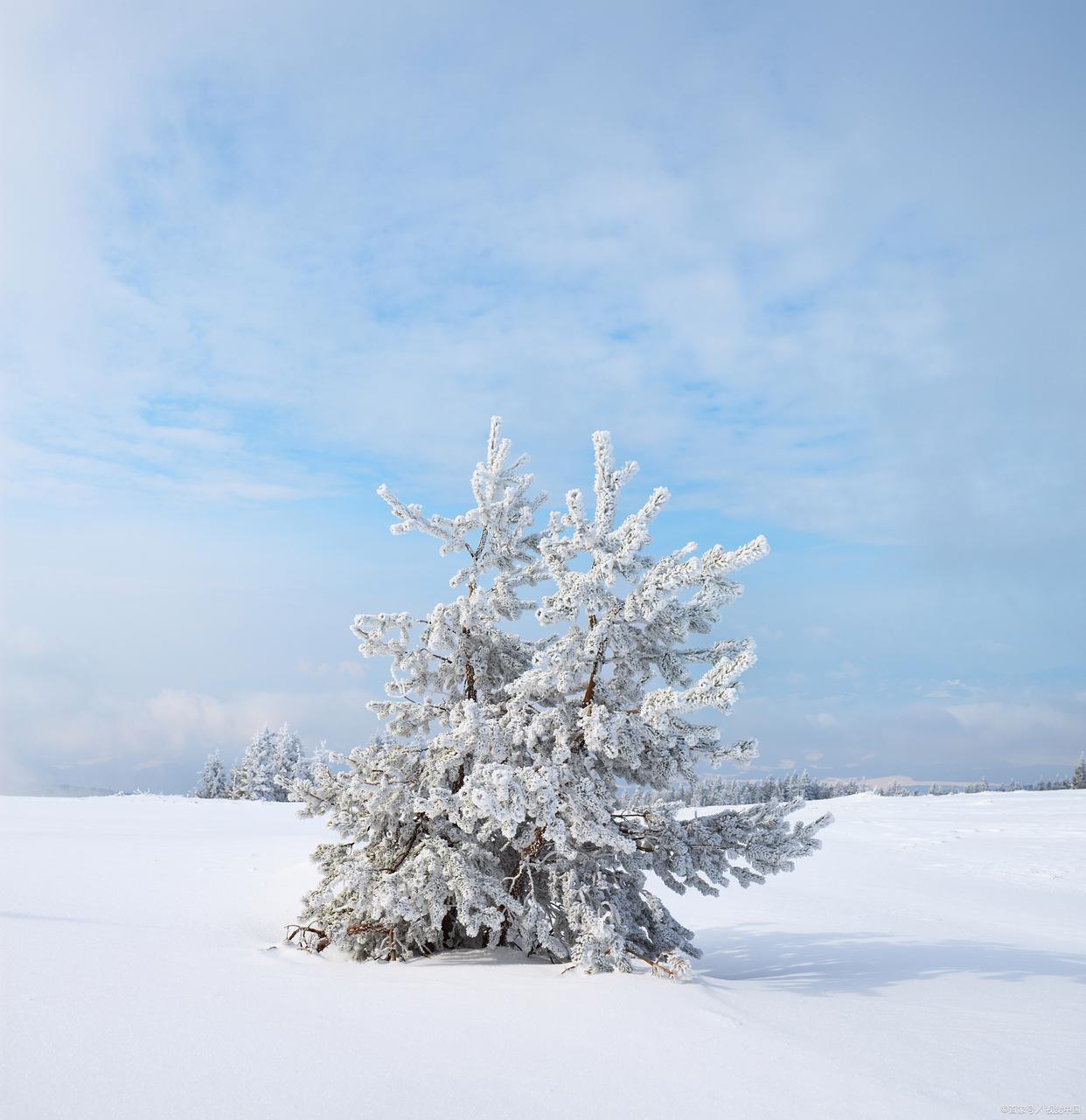 武夷山|雪景大赏：冬季的魔法世界