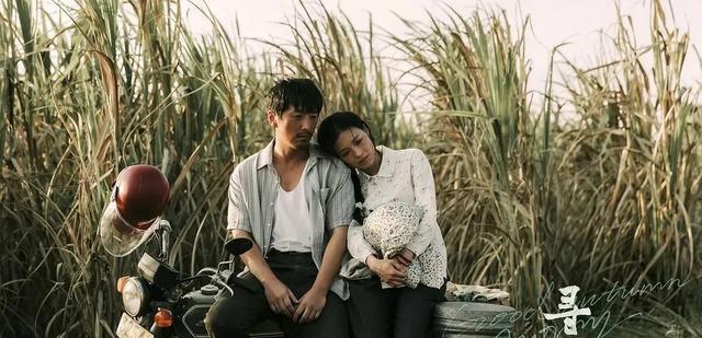 胡歌大鹏双影帝,王一博新片赢掌声,今年的国产片黑马要来了!