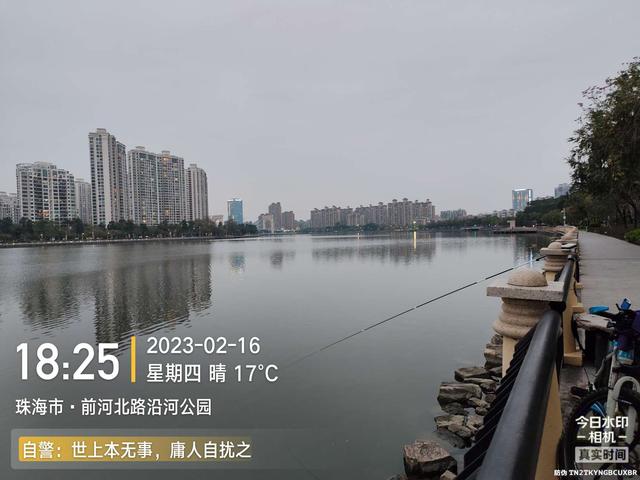 鲤鱼|给鱼尝尝肥宅快乐水，前有花河豚后有靓鲤鱼