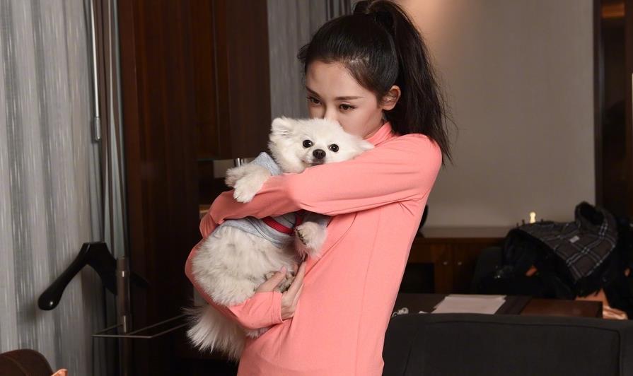 冯小刚直言：她太能装了，一辈子都别想红！更别提拿奖了！