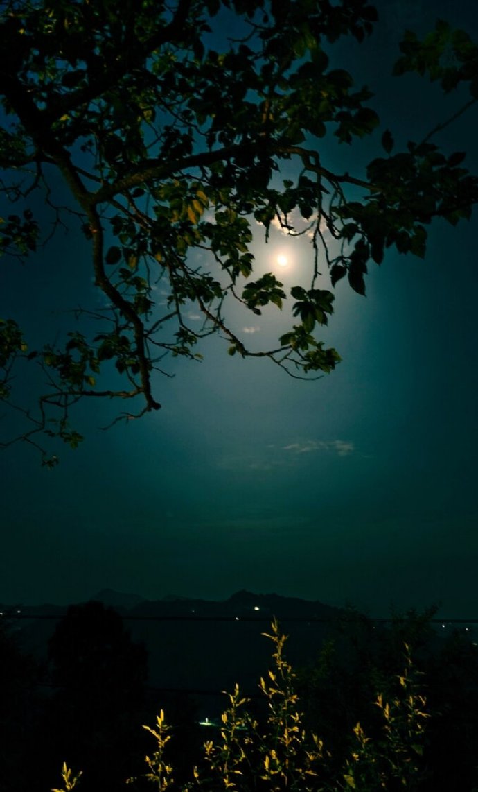 自寻烦恼|晚年雇佣保姆住家照顾,记得要先谈好几个条件,别自寻烦恼