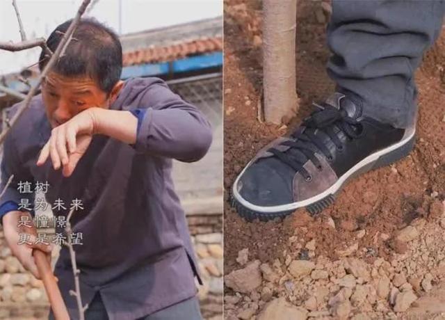 |李亚鹏：我的石头值3亿，四合院价值8亿，法院：限高，负债4000万