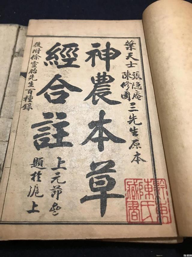 红薯|我国瞧不上的“野菜”,却被日本大量进口,还称其为“长寿菜”?