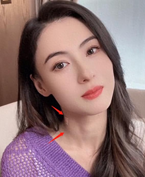 港媒曝张柏芝停工真相！“家暴男”孙东海死性不改，孩子都不放过