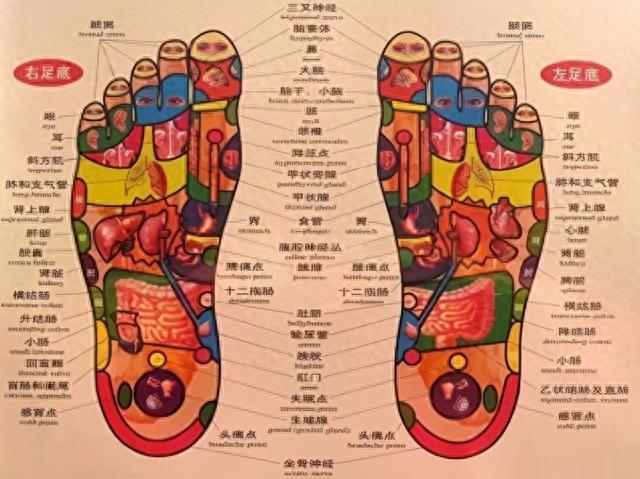 老中医不外传的“软筋术”收好不谢