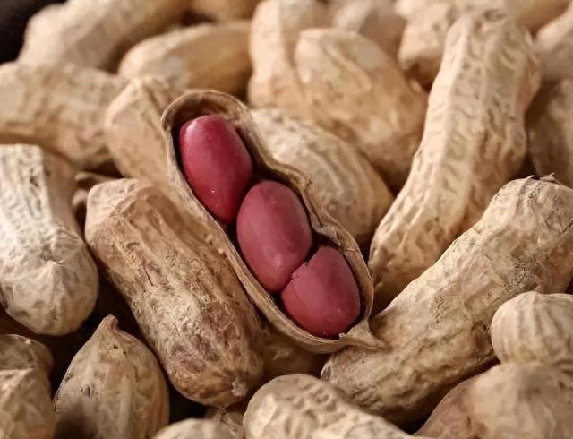 研究发现:常吃花生,会加速癌细胞扩散,是真是假?看完涨知识了