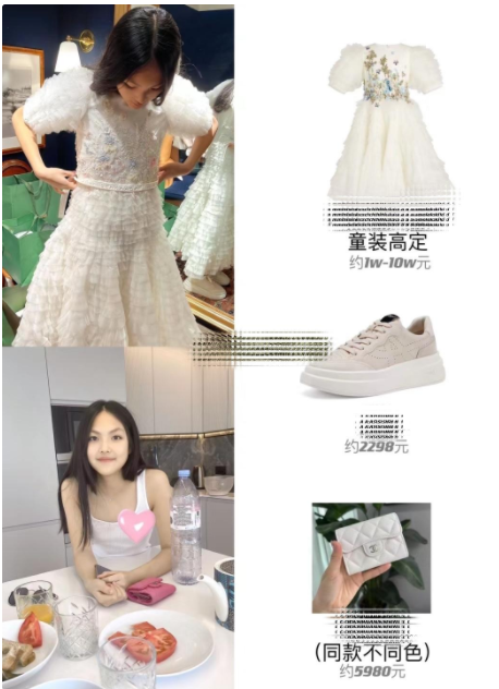 王诗龄曝近照被疑炫富,10万公主裙衬她脸黢黑,社交平台狂怼网友