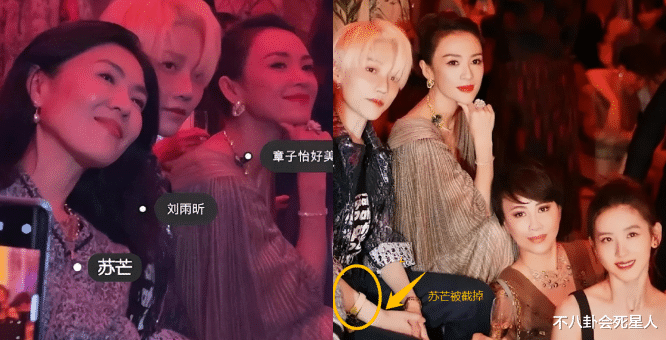 章子怡|章子怡，终于为自己的“堕落”，付出了代价