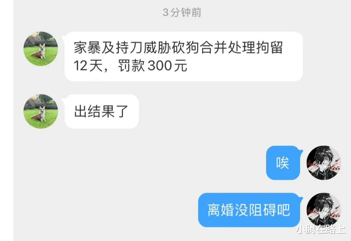 柯基|柯基被砍女子再发声：绝不与男方和解， 更多家暴细节曝光