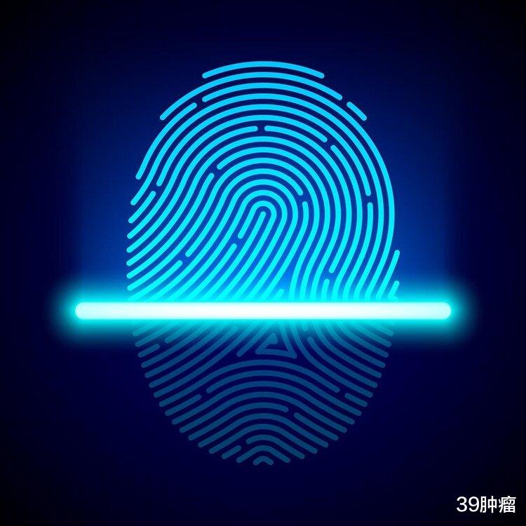 财富多少，看指纹便知？中科院解开“斗”和“簸箕”的基因真相