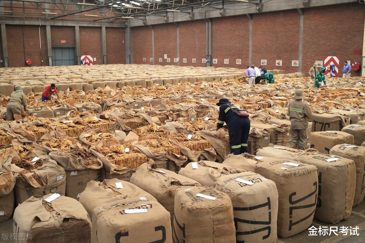 招聘|烟草岗位招聘来了，看看今年的考情，五险一金覆盖！