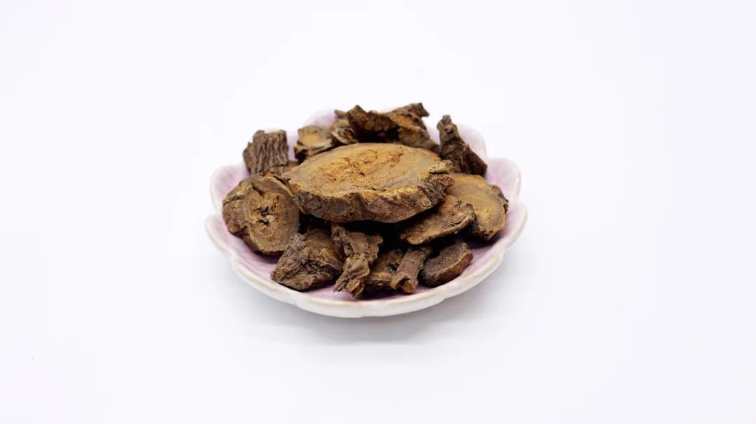 一味猛药，下瘀血、调血脉、利关节、泄壅滞，宣一切气、敷一切疮