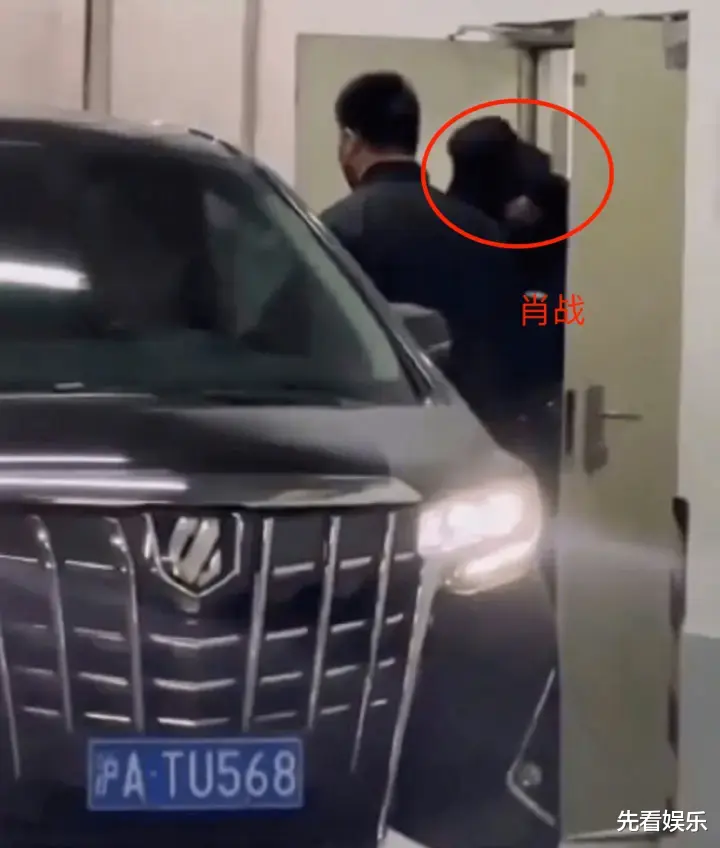 杨紫|一个5个桃色瓜:王菲小腹微凸,被疑怀孕,杨紫肖战再传恋情