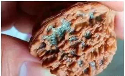 这几种文玩物件最好远离