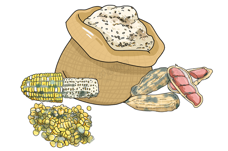 世卫组织公布一级致癌物清单：不想招惹癌症，4种食物别轻易下嘴