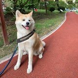 南蕾小宝堡