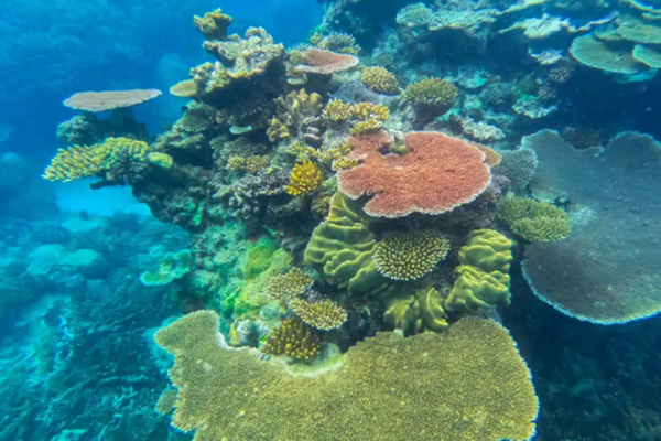 大堡礁|大自然的鬼斧神工，雄伟壮丽的风景，魅力十足的大堡礁