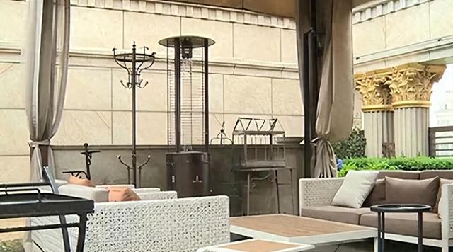 大快人心！花17亿买“楼”害人的张庭夫妇，如今下场凄惨