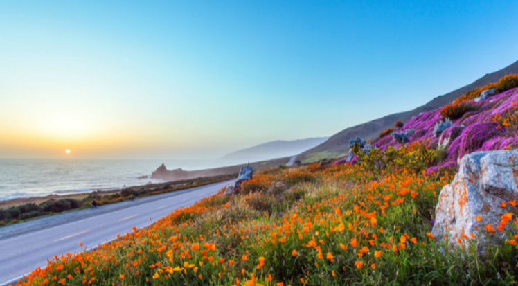 |基础知识，流通规则