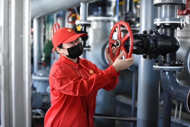 大学生|这种不容易破产的公司,薪水不低于编制,是大学生理想的就业机会