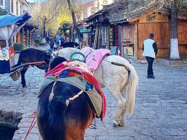 梯田|随便拍的旅游景点, 梦境田地, 一拍就能拍出好的照片