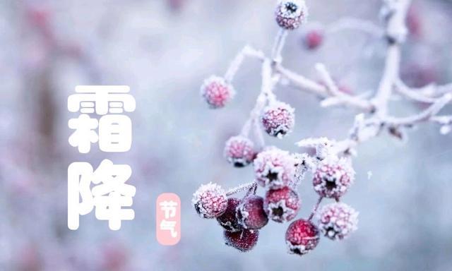 |“霜降一碗汤,不找郎中帮”,这5道汤要常喝,暖身润燥,平稳入冬