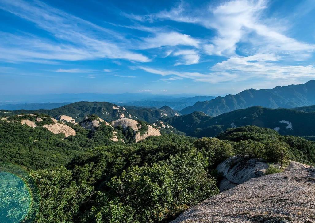 洛阳|洛阳一处森林公园景区，植被相当的茂密