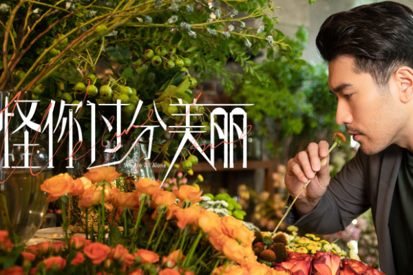 电视剧|看职业类电视剧,探究娱乐圈工作,看不一样的一面