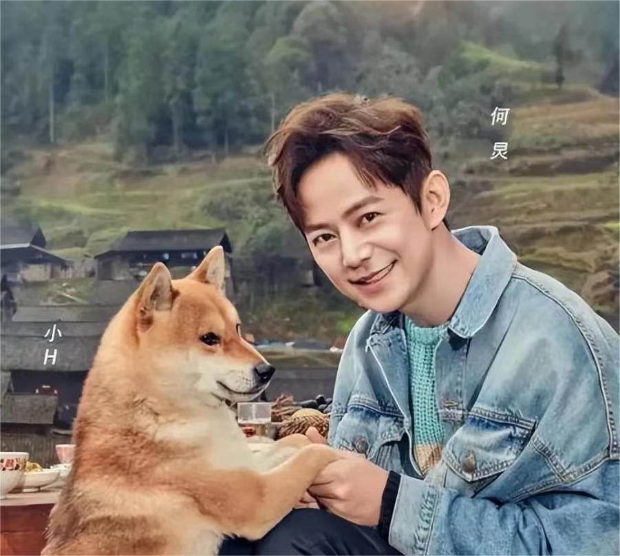 向往的生活|《向往的生活》第七季,就此收官,为什么我觉得这是最好的一季?