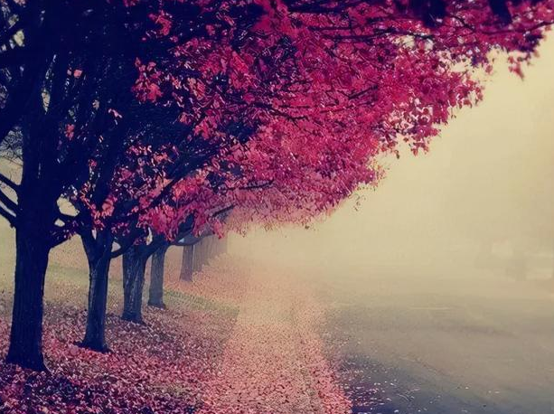 |人生最大的悲剧，是把幸福当成目标。而人生最大的错误，是想拥有一切而完全失去了它