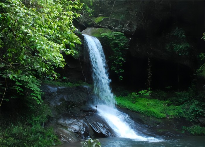 温泉|森林率很高的旅游圣地，邵武瀑布林生态区