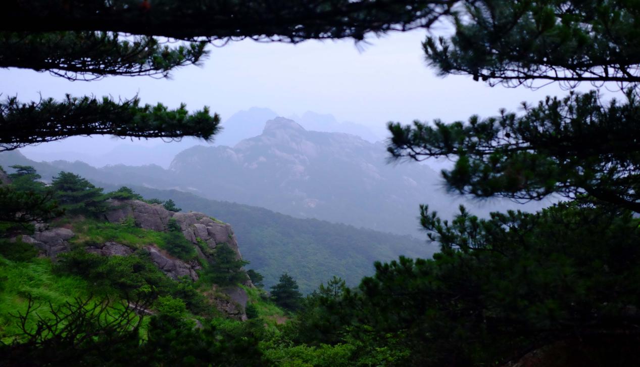 北海|全年畅游38家景区！黄山市旅游已全面复苏