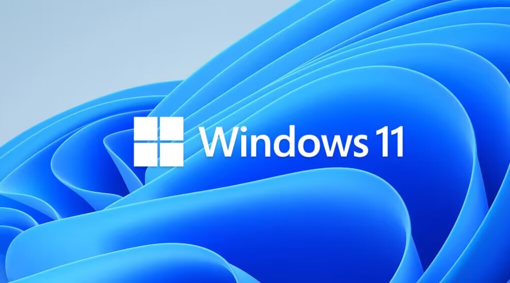 Windows11|Win11基本凉了，安装率还不如XP系统
