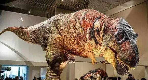 你可能见过地球上的各种生物,它们之间的关系。今天就让我们来了解一下这些地球上的冷知识吧。